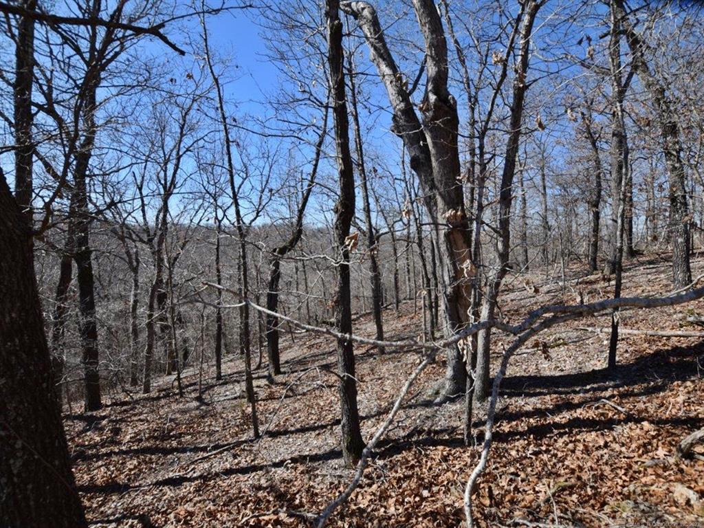 5401 Hilderbrand Ridge Road