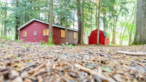 17341 Old Logging Road