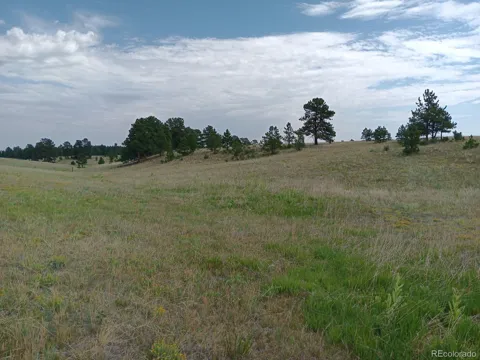 5335 County Road 82