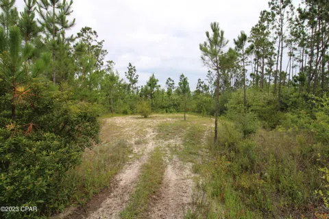 7131 Troy Road