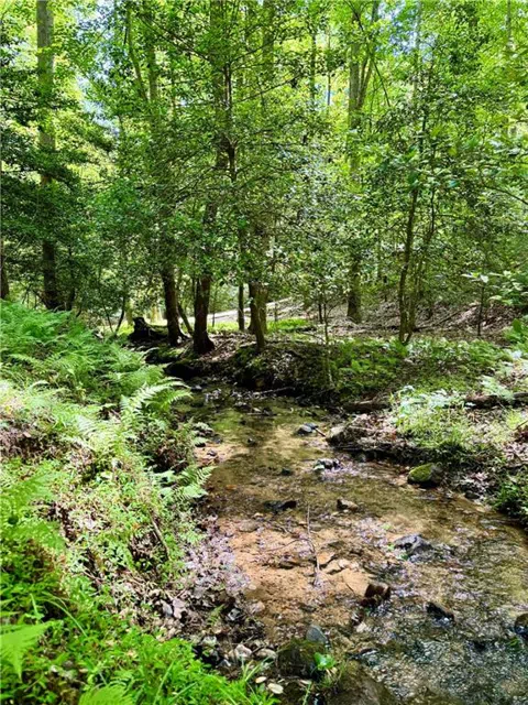 308 Creekside Trail