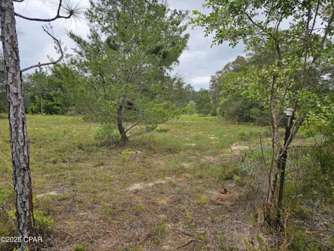 Sand Pond Road