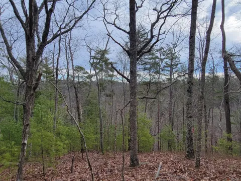 968 Raccoon Ridge Road