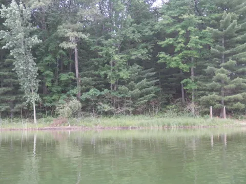 9038 S Three Lakes Lane #Lot 192