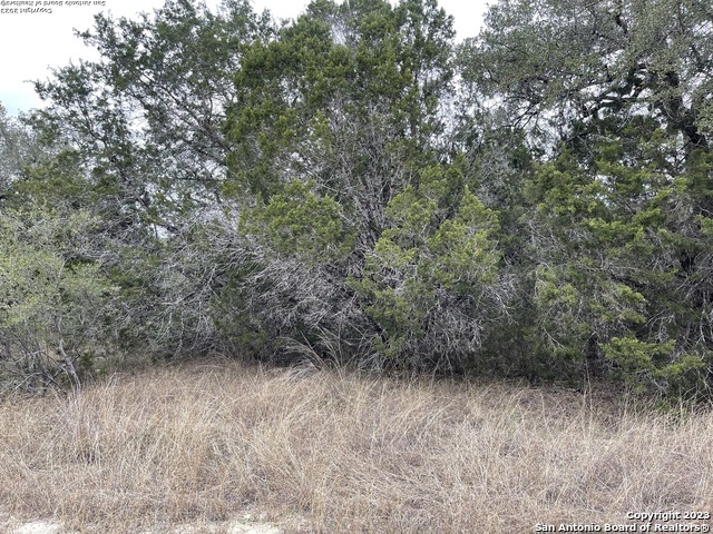 1060 Deer Valley Pass