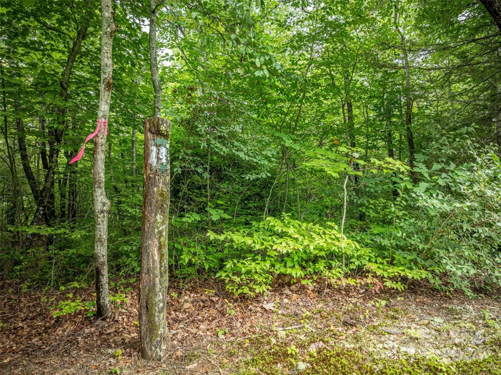 000 Meadow Ridge Drive #Lot 14