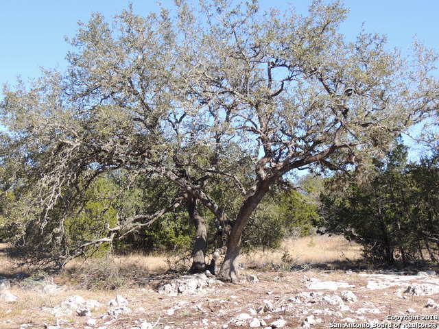 1312 MYSTIC SHORES BLVD