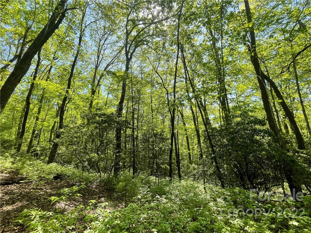 0000 Big Branch Road #53