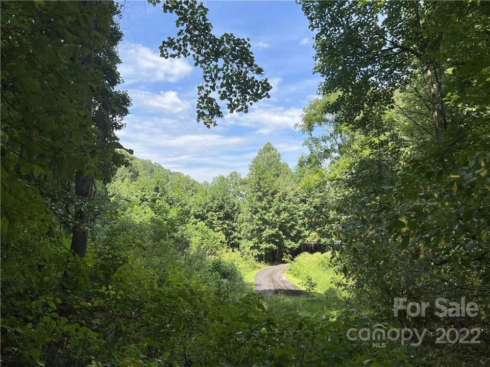 21 Talking Rock Lane #49