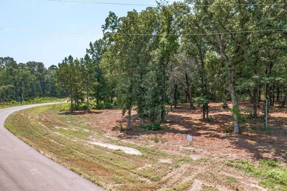 3109 Shadow Pine Drive