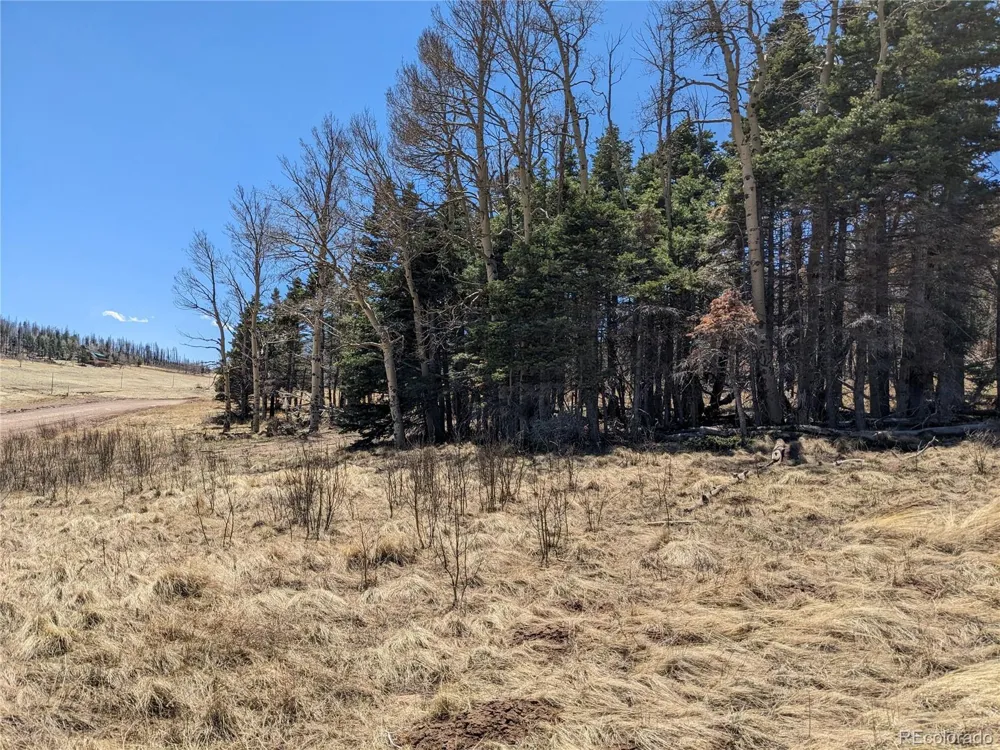 2056 Forbes Park Road