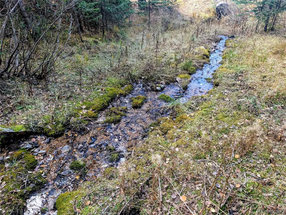 48 Acres Forbes Road Fort Garland, CO 81133