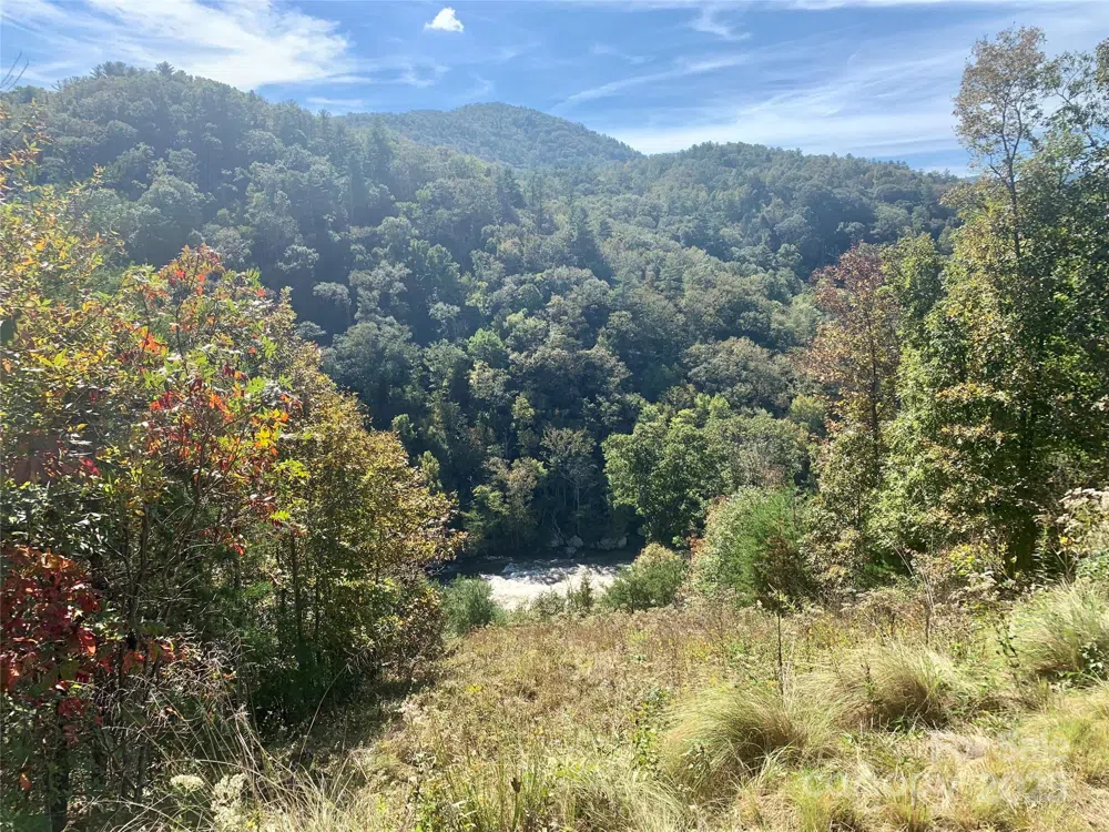 3641 French Broad Parkway #5