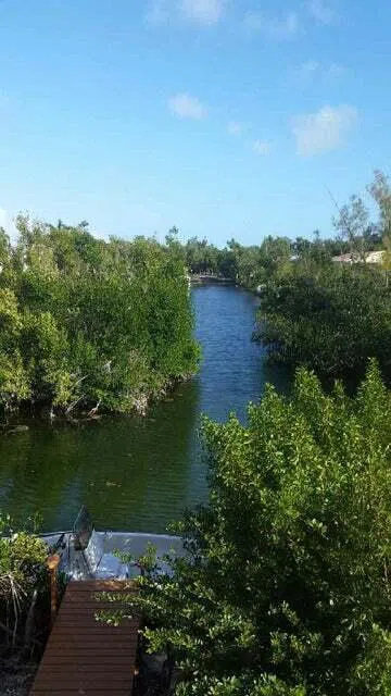 1791 Narcissus Avenue