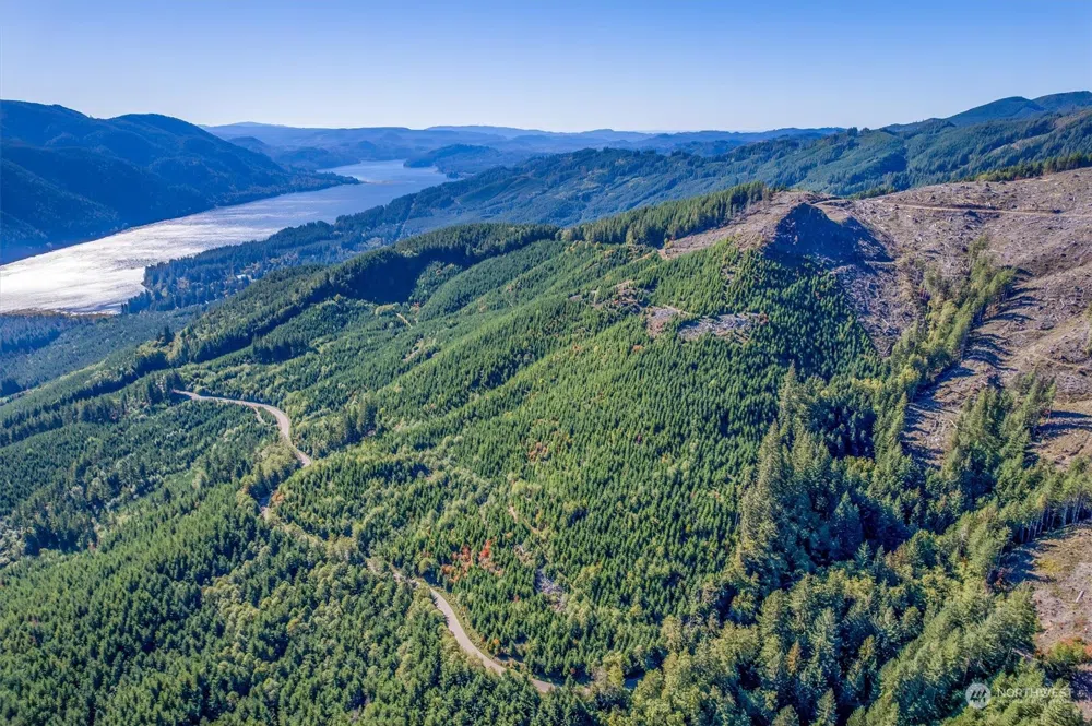 0 USFS 81 ROAD Cougar, WA 98616