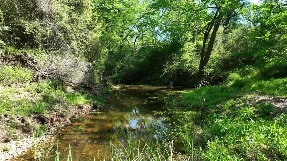 County Road 119 Ledbetter, TX 78946