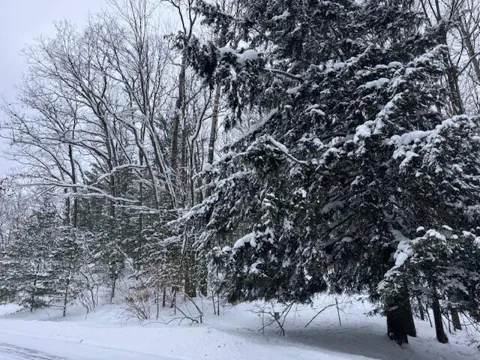 Frank Smith Rd