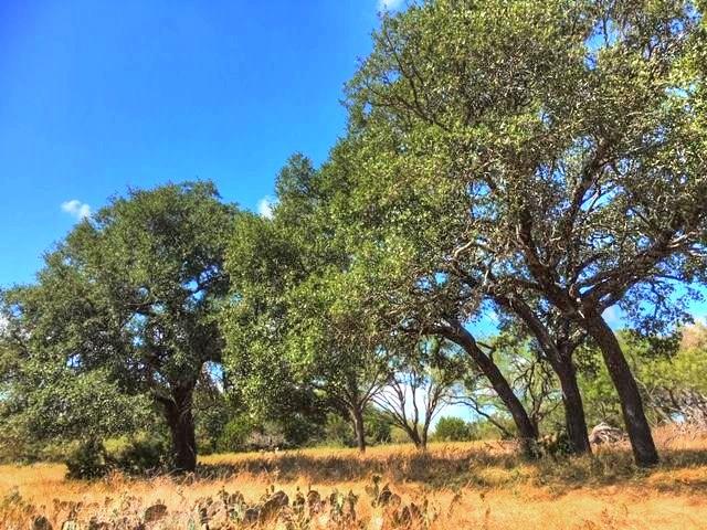 County Road 2200 Lometa, TX 76853