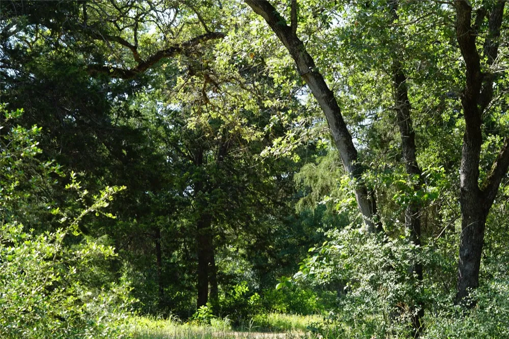 County Road 322 Rockdale, TX 76567