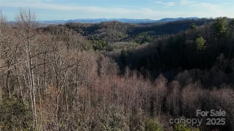 0 Cummings Ridge Trail #13