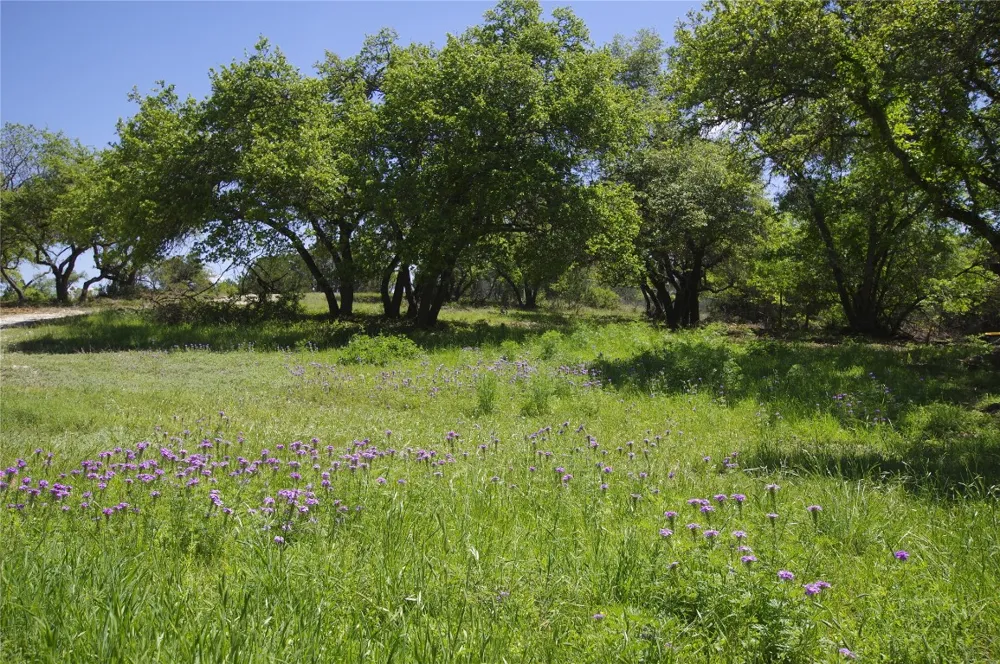 22007 Nameless Road Leander, TX 78641