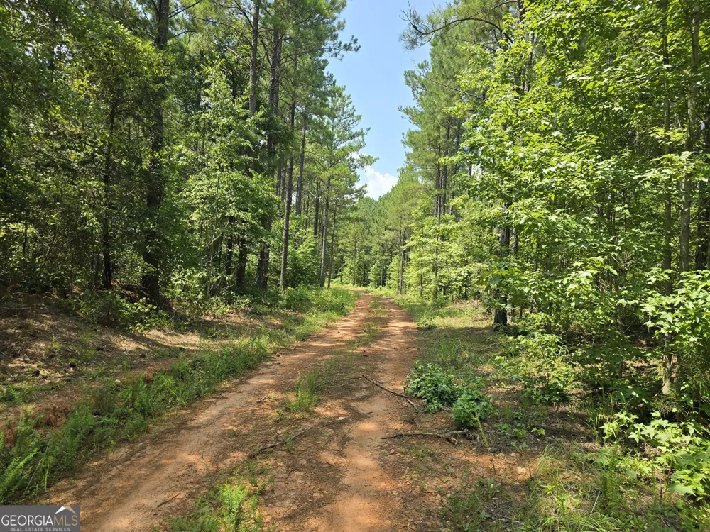 0 Faulkner Road #LOT 4 Monticello, GA 31064