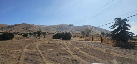 Vic Carson Mesa Rd Rough