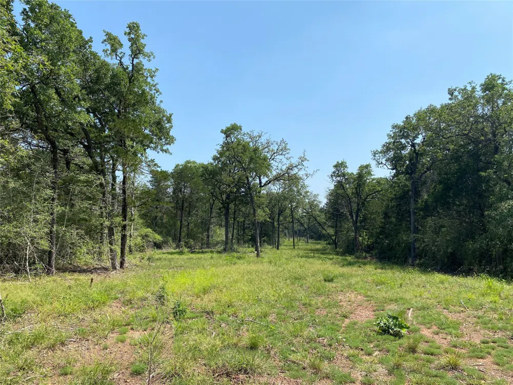 High Crossing Rd - TRACT 9 Smithville, TX 78957