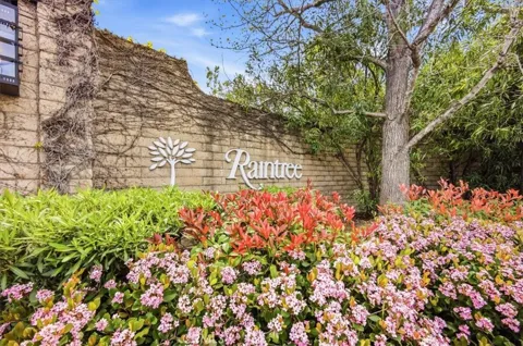3310 Raintree