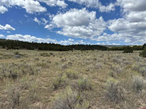 16 Conejos River Trail
