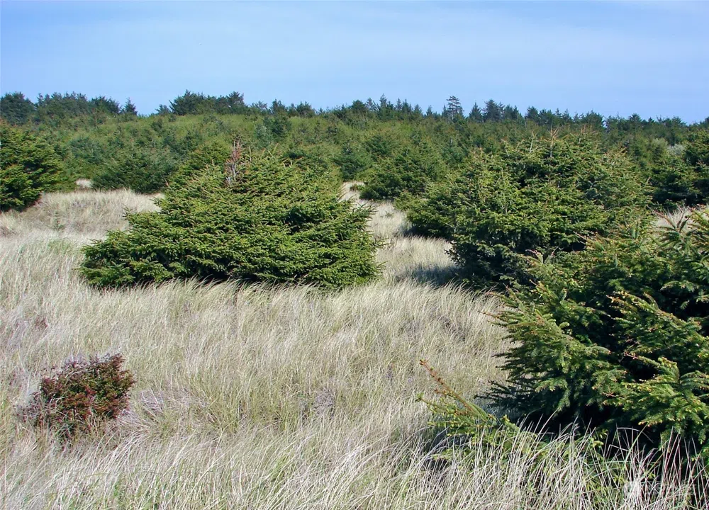 0 Lot 1 State Route 109