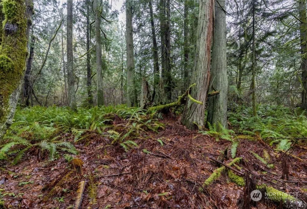 0 Lot 4 Sandy Hook Road NE