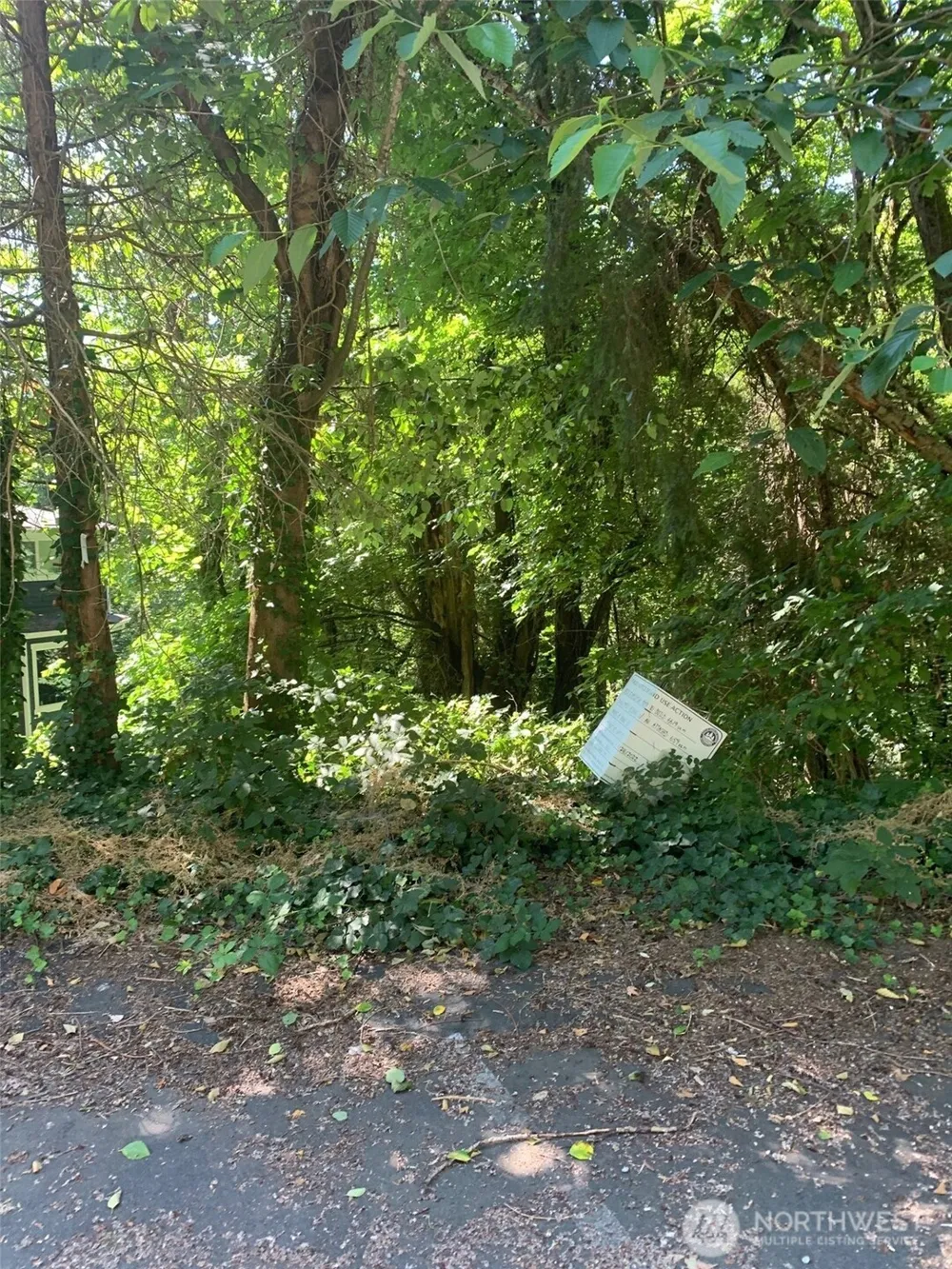9167 SE 64th Street Mercer Island, WA 98040
