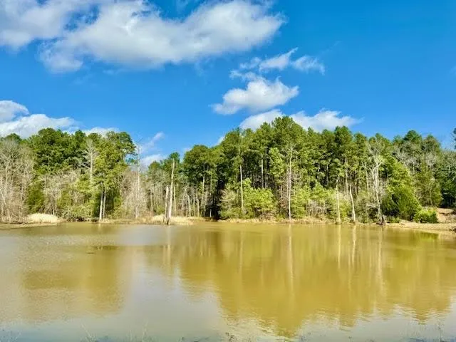 5681 AN County Road 153 Elkhart, TX 75801