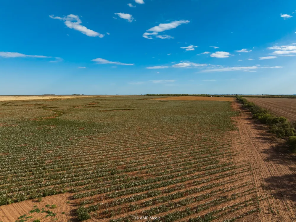CR 432 Merkel, TX 79536