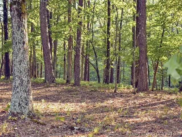 24230 Flint Ridge Drive