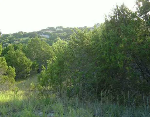 20103 CHAMPLAIN Cove Lago Vista, TX 78645