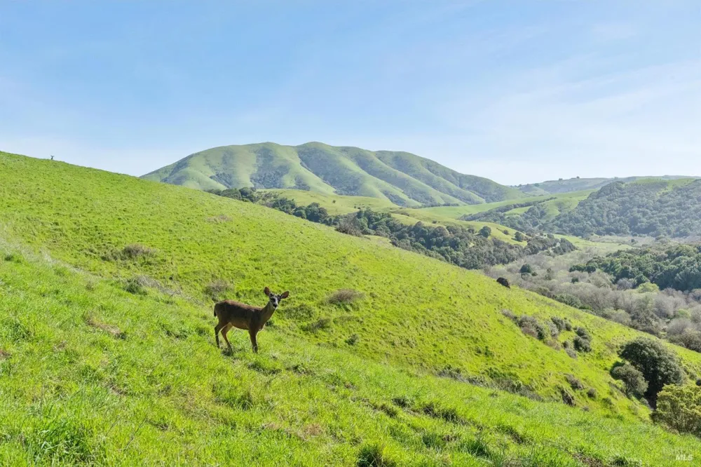 11798 State Route 1 Point Reyes Station, CA 94956