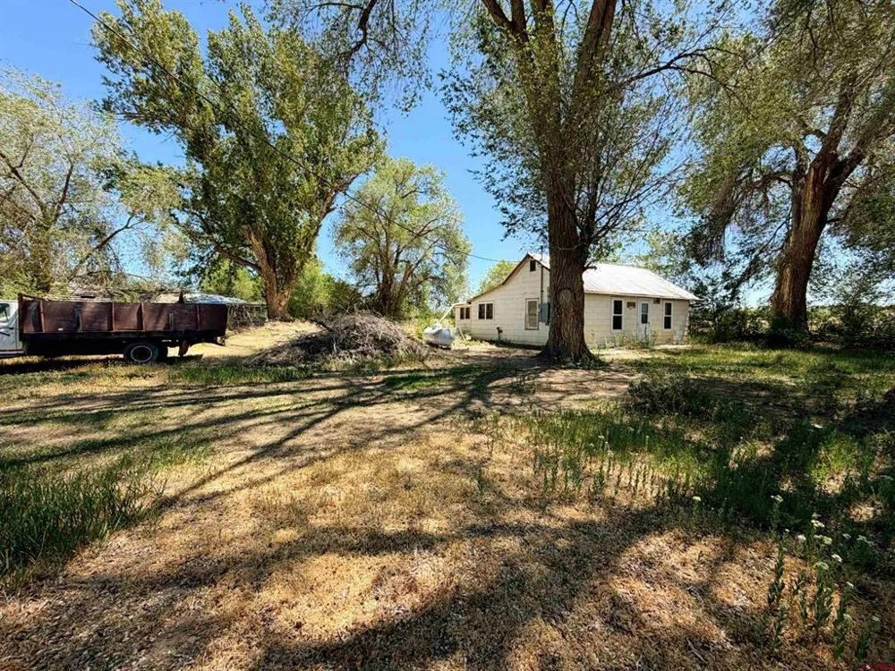 5274 5700 ROAD Olathe, CO 81425