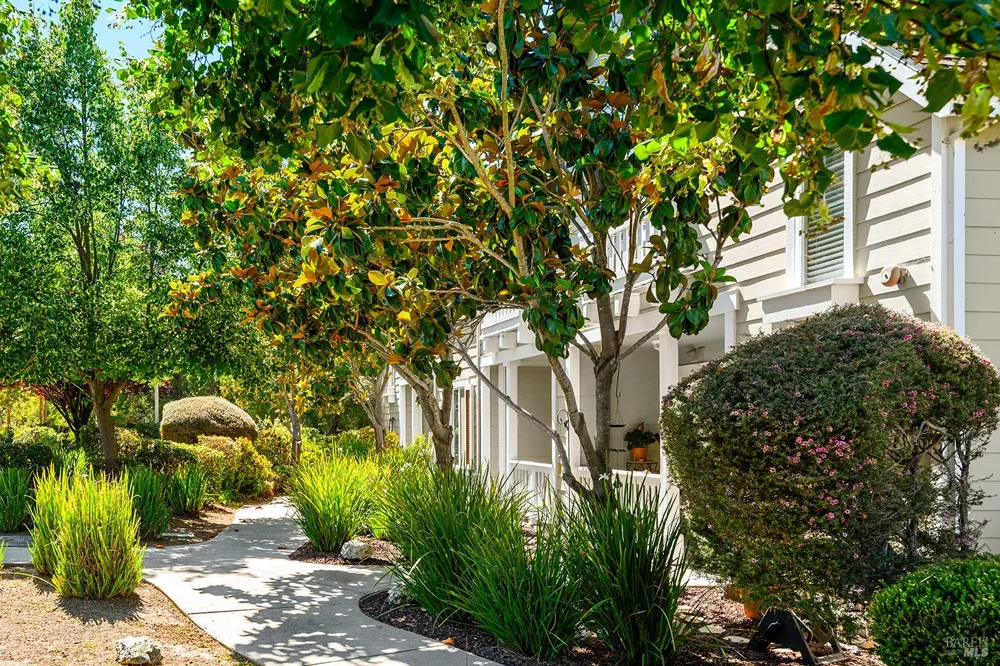 26 Mather Court Novato, CA 94949