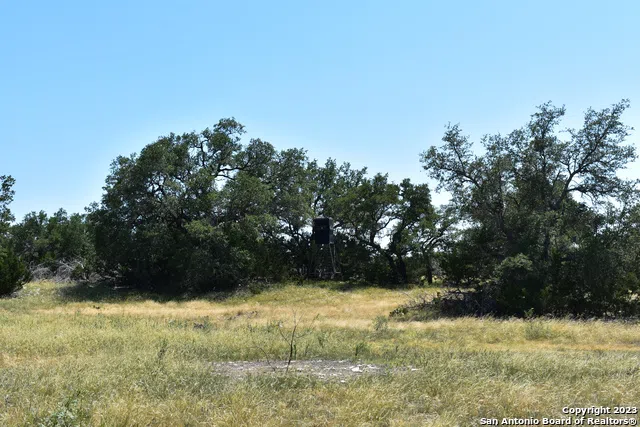 85+/- ACRES County Road 220