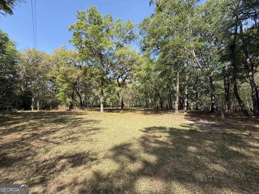315 High Bluff RD Rincon, GA 31326