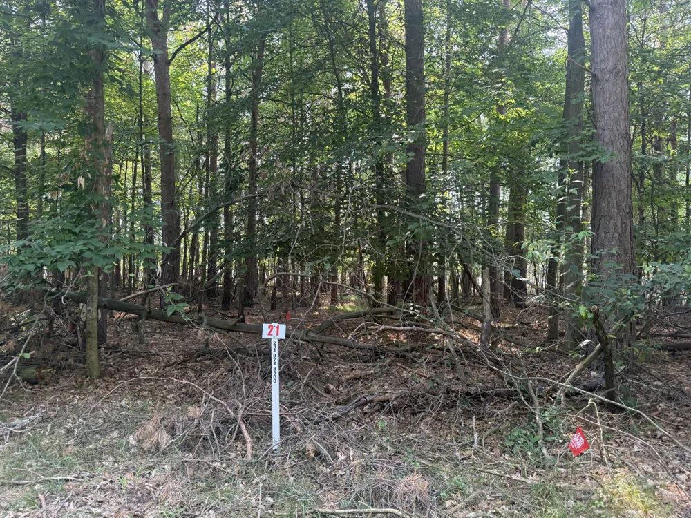 7745 Lakeview Drive Stanwood, MI 49346