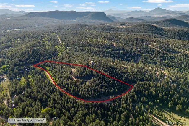 157 Saddle Horn Lane Bailey, CO 80421