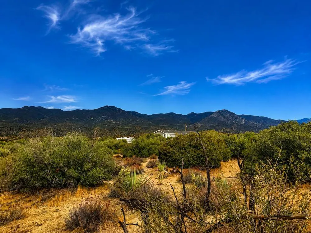 217 Chalet Drive Mountain Center, CA 92561