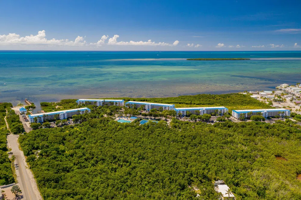 500 Burton Drive #2402