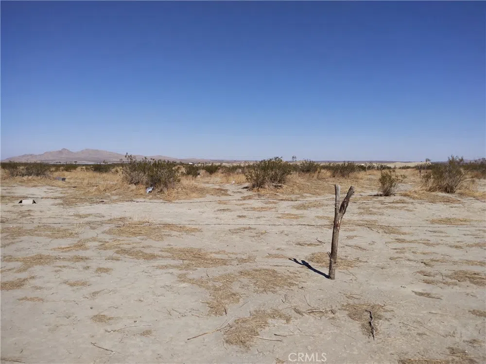 Cor Avenue P8 & El Cano Ave Avenue