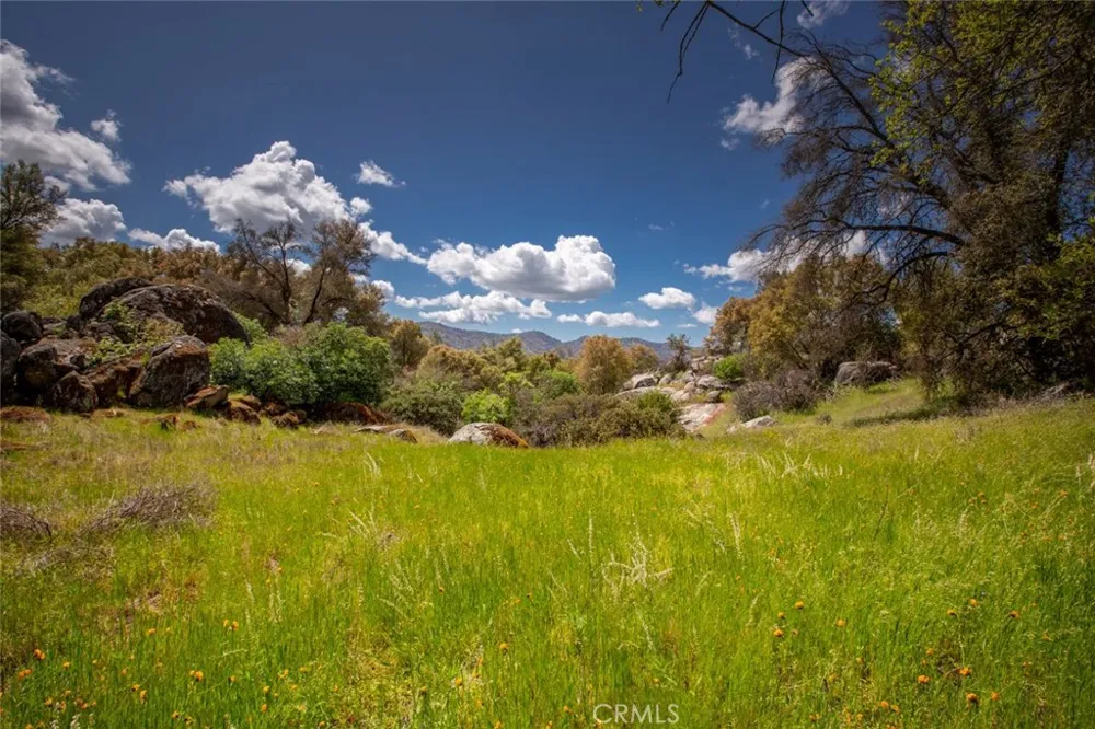 4244 Burl Drive Mariposa, CA 95338