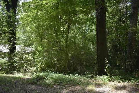 1 N Dale Avenue