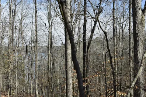 3 Millstone Creek Road